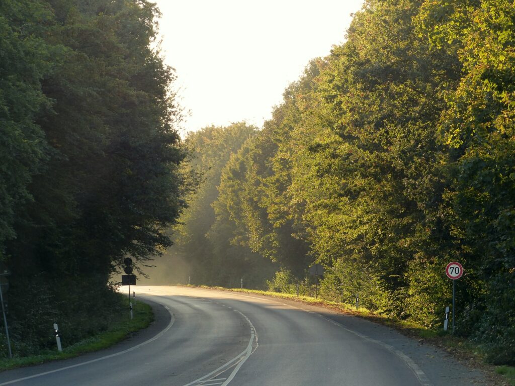 Straße im Wald