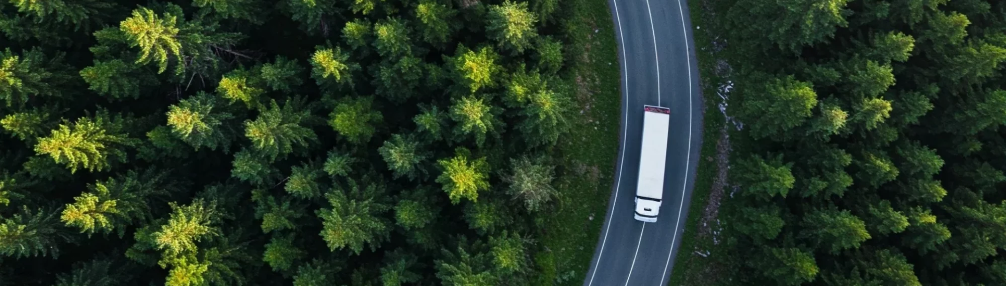 LKW im grünen Wald