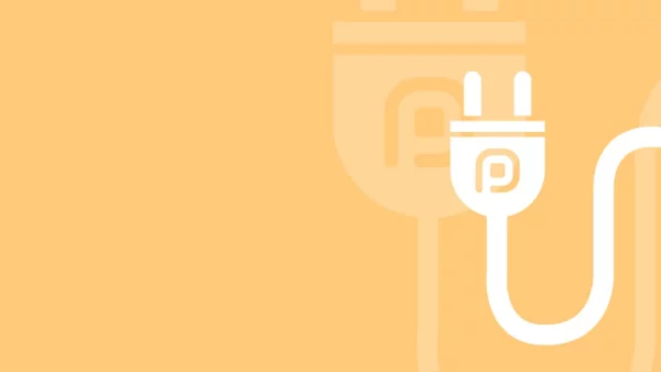 Website Plugin